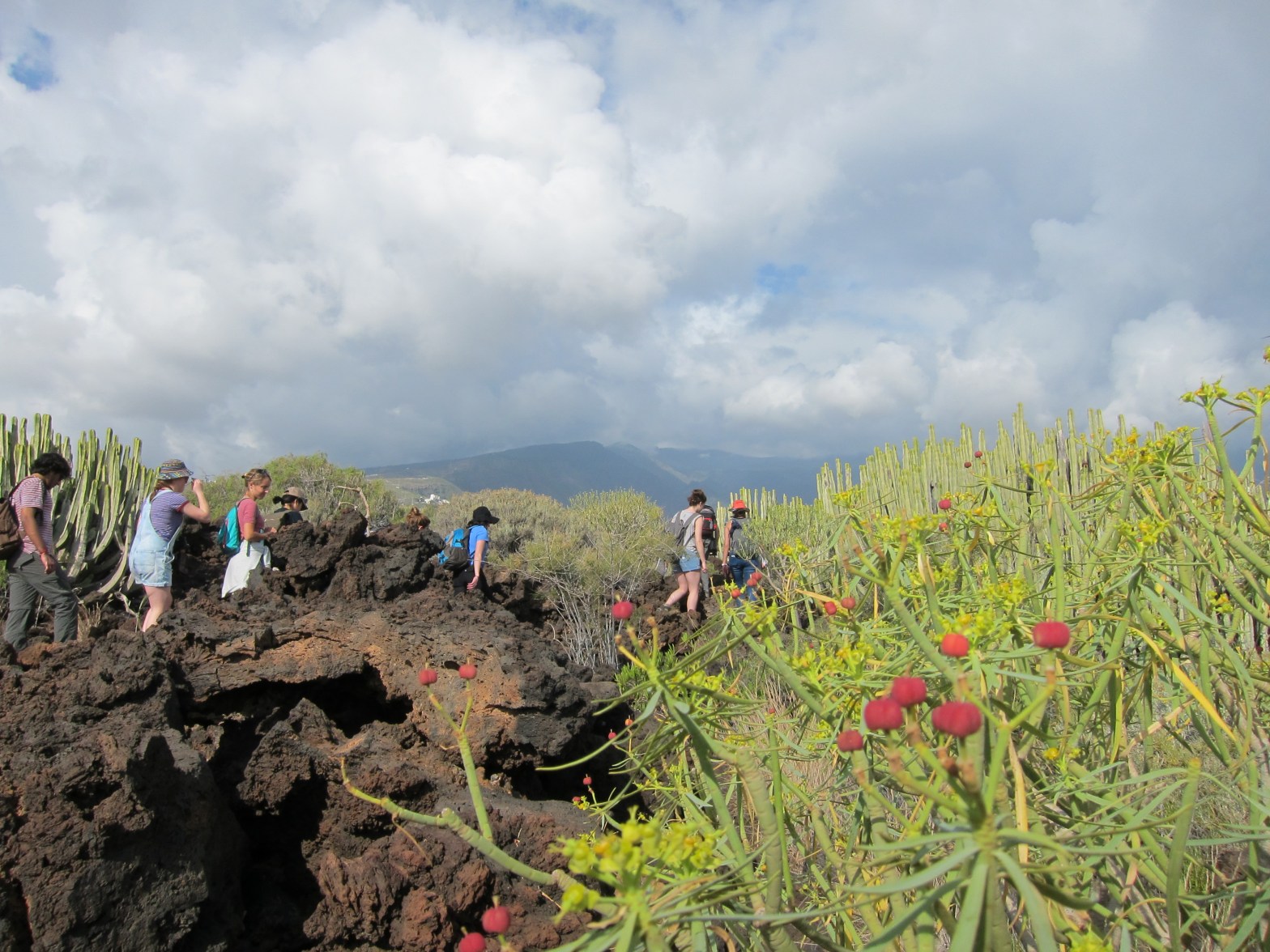 Badlands, Tenerife. Credit: EJ McIntosh