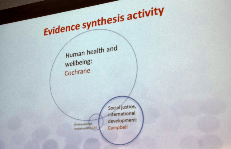 Slide from Andrew Pullin’s opening presentation showing relative number of systematic reviews produced by field.