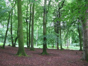 Photo credit: Emma McIntosh