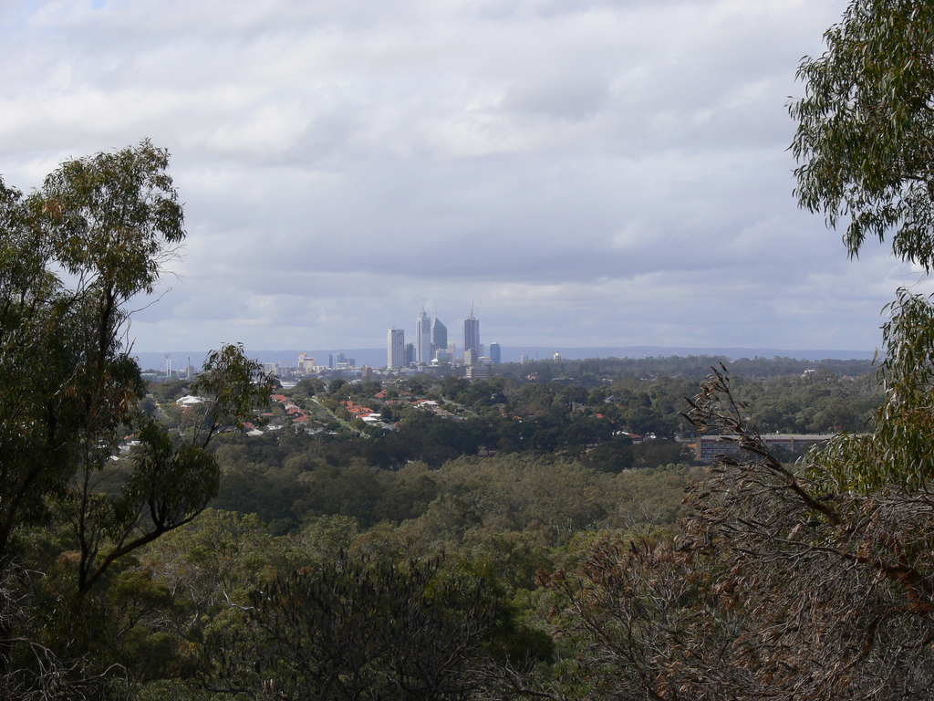 Perth city viewed from Bold Park CC BY-SA 2.0 FCB Excalibur
