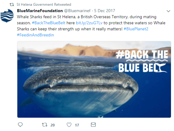 GBO St Helena whale sharks tweet